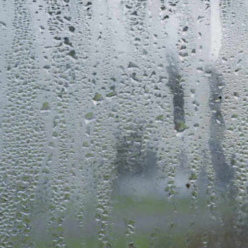 Misted Window Misted Window